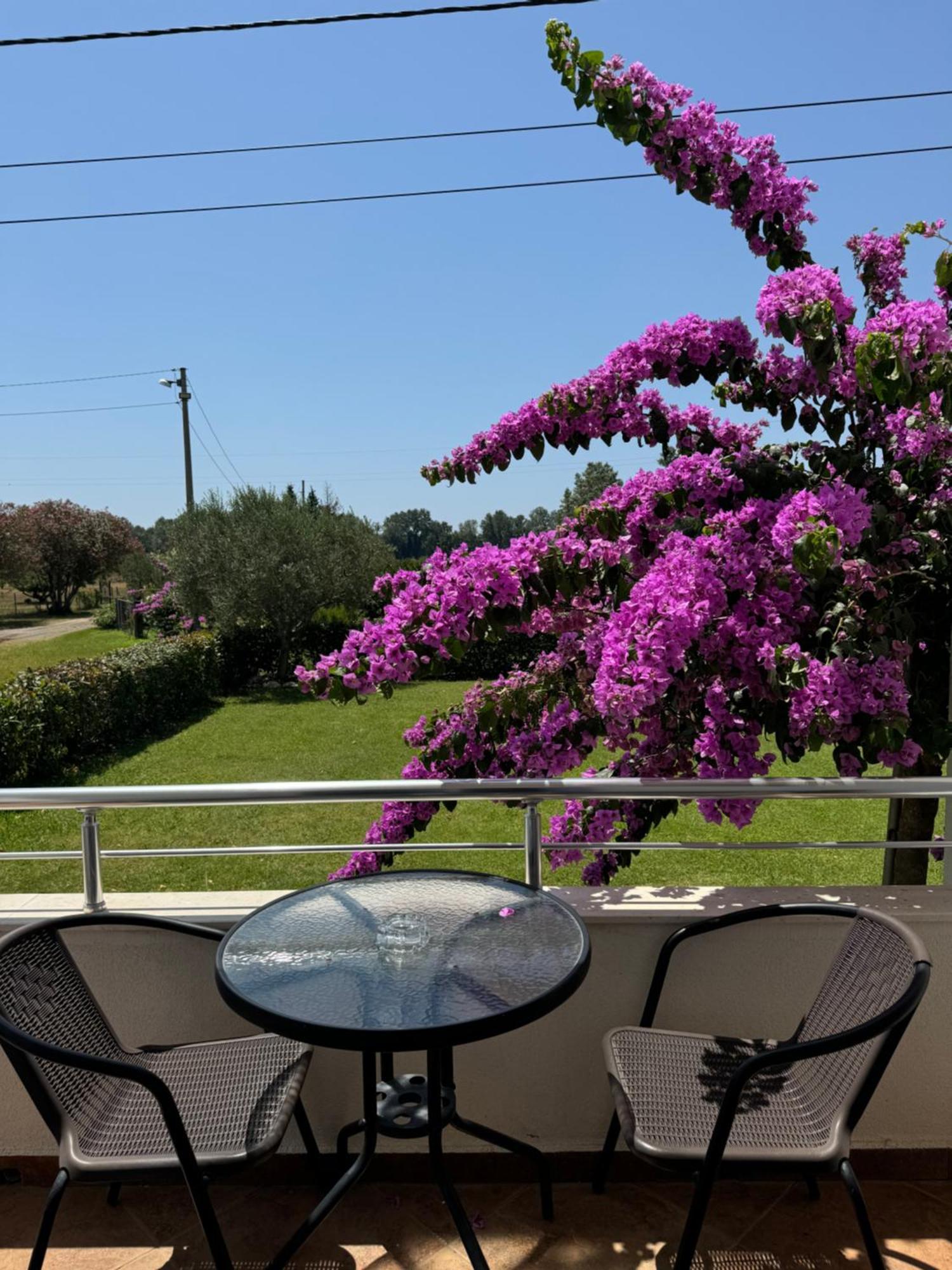 Sunrise House Apartments Ulcinj Exterior foto